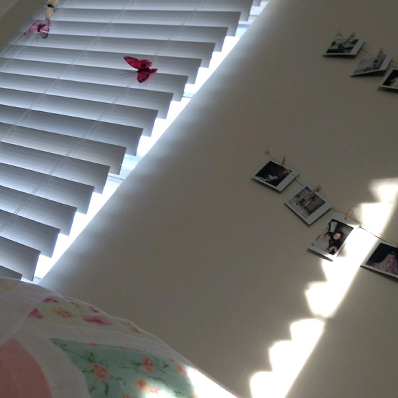 Meet your Posher, Alex - Picture 1 of 1